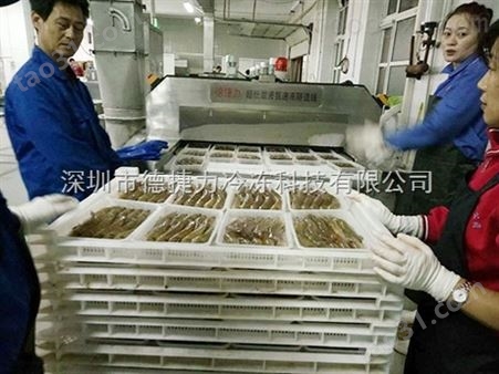江西九江小龙虾液氮速冻设备速冻海鲜节约生产成本