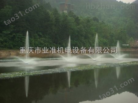 四川专业从事城市园林景观DN20-DN80喷泉曝气机