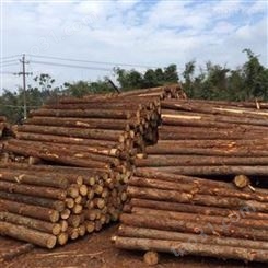胜洁木业 北京杉木桩出售 2米杉木桩直径