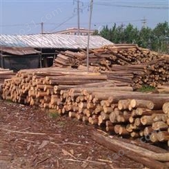 河道杉木桩施工 防腐杉木桩出售 北京杉木桩