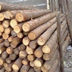 驳岸杉木桩施工 胜洁木业 北京杉木桩销售