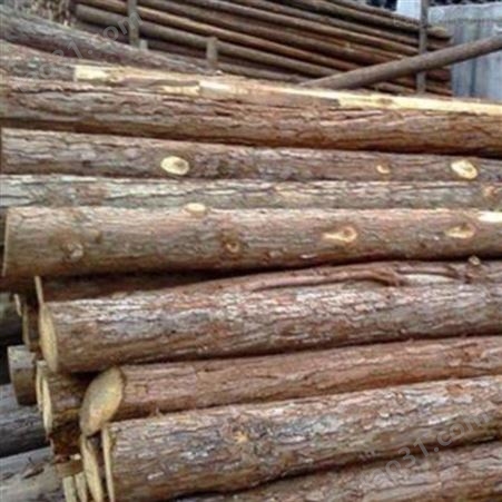 胜洁木业 驳岸杉木桩 10米杉木桩