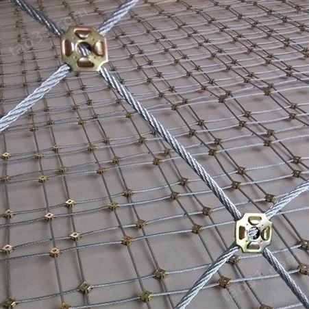 丛泰 边坡防护网  边坡防护网  主动边坡防护网  被动边坡防护网  柔性防护网