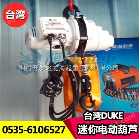 中国台湾DUKE迷你环链电动葫芦,工厂吊重用电动葫芦1000kg