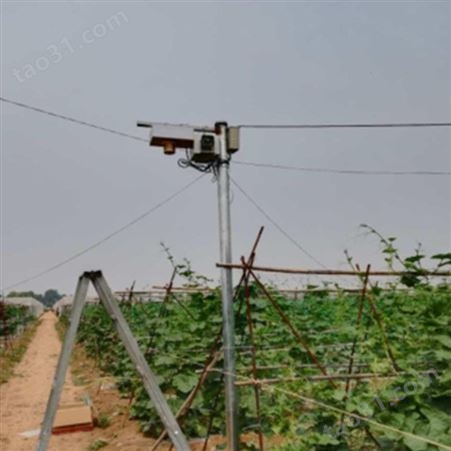 陕西智能语音驱鸟器厂家  超声波驱鸟器设备