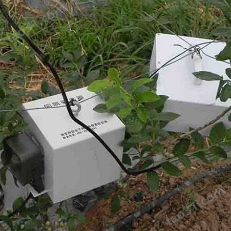 果园驱鸟器厂家 生产超声波驱鸟器 声压