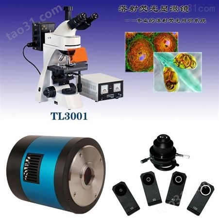 显微镜TL3201落射荧光显微镜