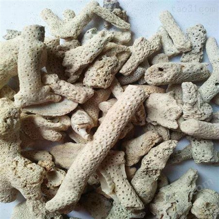 乾富矿产供应珊瑚石水族过滤材料珊瑚石