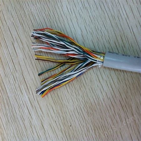 安徽鑫森电缆 电子计算机用对绞屏蔽电缆 DJYPV