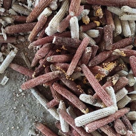 元晶供应 宠物垫料玉米芯颗粒30-50目 蘑菇菌种培养基地玉米轴