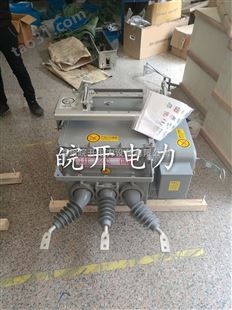 浙江优质ZW20-12F/630真空断路器生产厂家