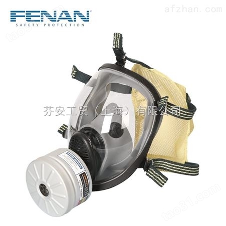 芬安FENAN制造 单滤罐球形全面罩防毒面具